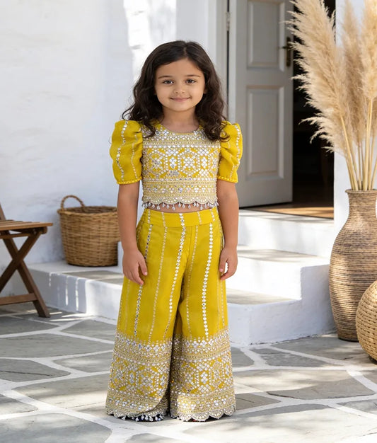 Luxe Yellow Embroidered Top with Sharara Set