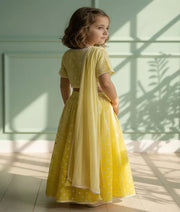 Luxe Yellow Ombre Embroidered Lehenga Choli Set