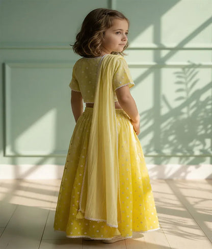 Luxe Yellow Ombre Embroidered Lehenga Choli Set