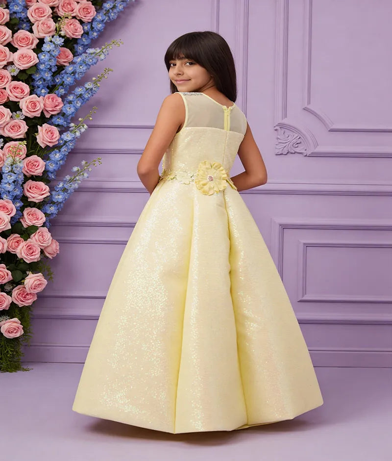 Luxe Yellow Sequence Embroidery Gown
