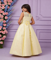 Luxe Yellow Sequence Embroidery Gown