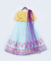 Manufactured by FAYON KIDS (Noida, U.P) 3D Florals Organza Lehenga Set