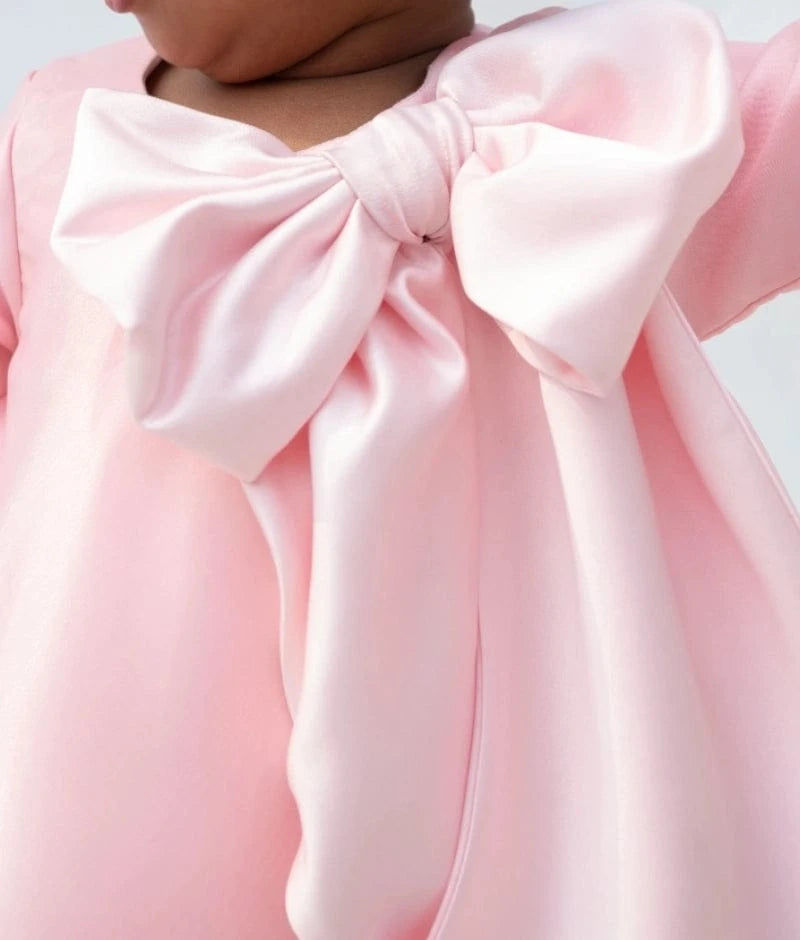Baby Pink Organza Dress