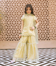 Green Embroidered Organza Kurti Sharara