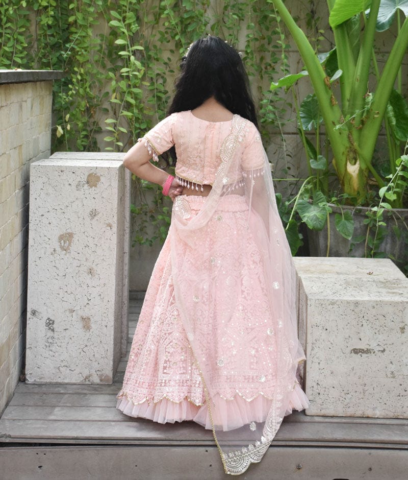 Peach Thread Lehenga Choli