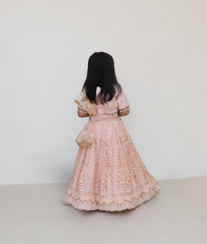 Peach Thread Lehenga Choli