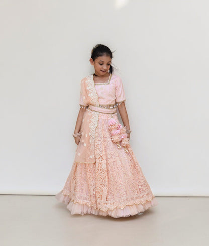 Peach Thread Lehenga Choli