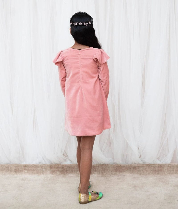 Manufactured by FAYON KIDS (Noida, U.P) Peach Velvet Dress