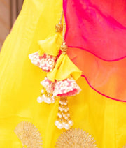 Pink Embroidered Choli with Lehenga Set