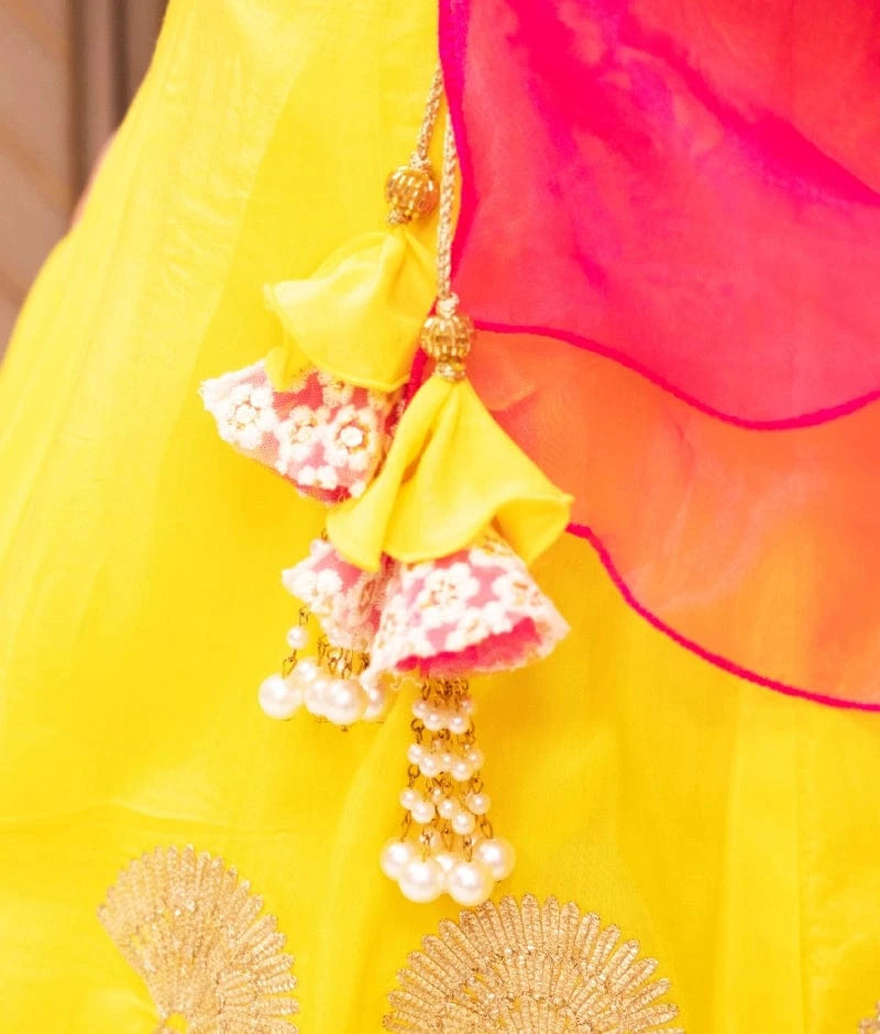 Manufactured by FAYON KIDS (Noida, U.P) Pink Embroidered Choli with Lehenga Set