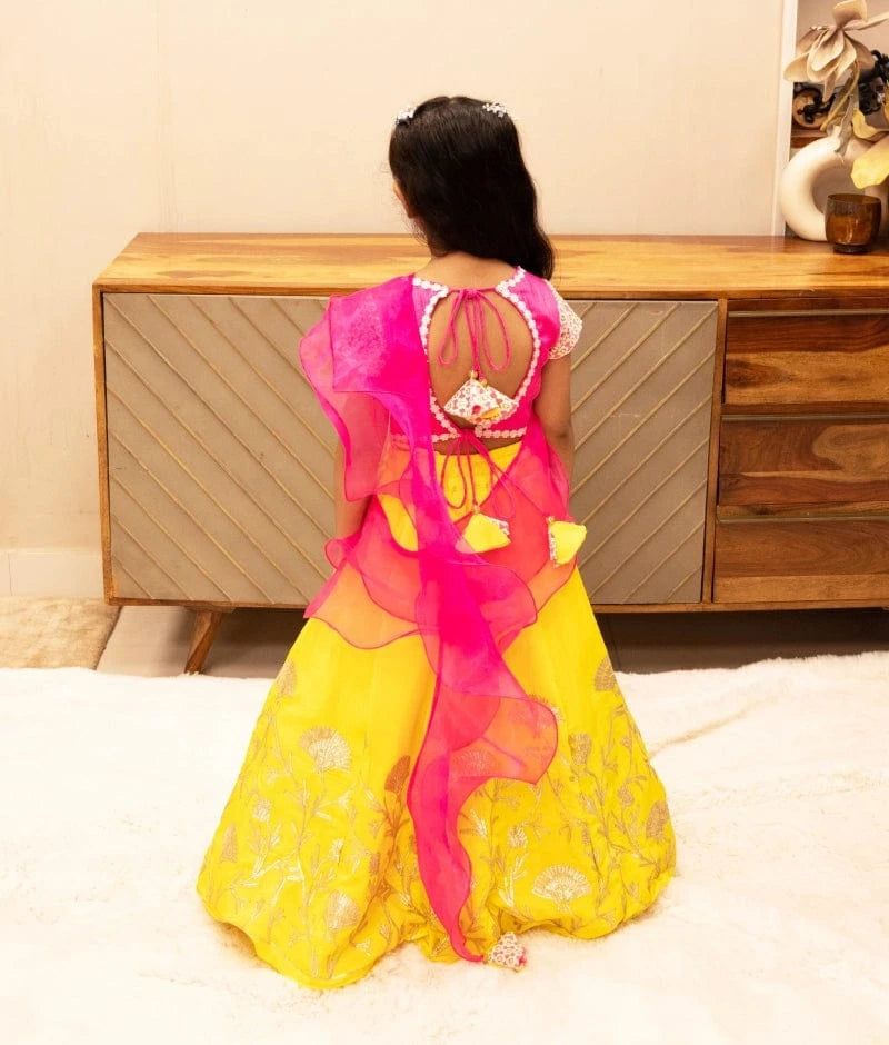 Manufactured by FAYON KIDS (Noida, U.P) Pink Embroidered Choli with Lehenga Set