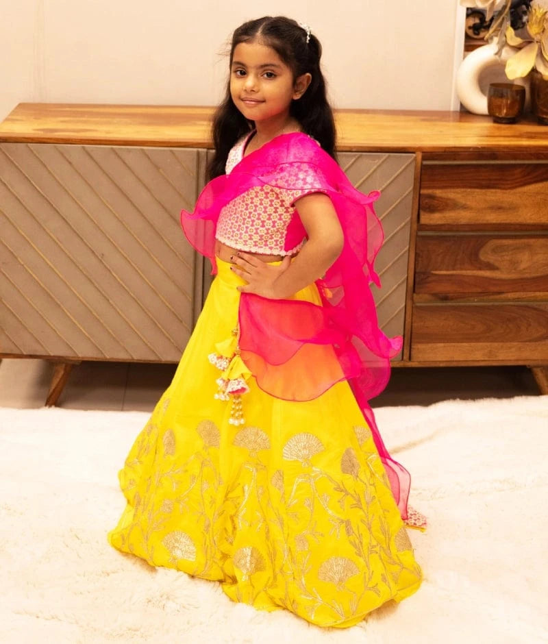 Manufactured by FAYON KIDS (Noida, U.P) Pink Embroidered Choli with Lehenga Set