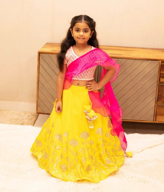 Manufactured by FAYON KIDS (Noida, U.P) Pink Embroidered Choli with Lehenga Set