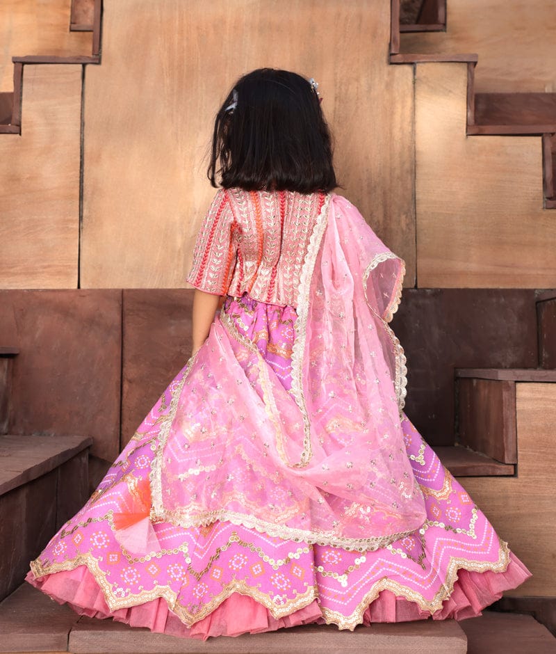 Manufactured by FAYON KIDS (Noida, U.P) Pink Embroidred Choli with Purple Lehenga for Girls