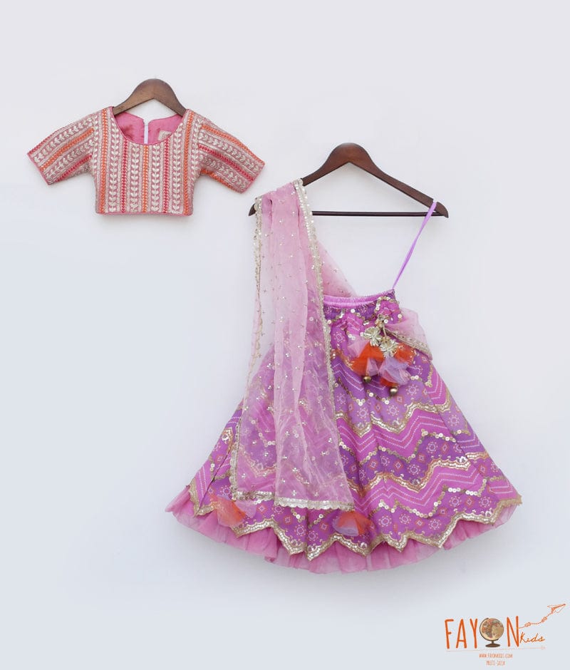 Manufactured by FAYON KIDS (Noida, U.P) Pink Embroidred Choli with Purple Lehenga for Girls