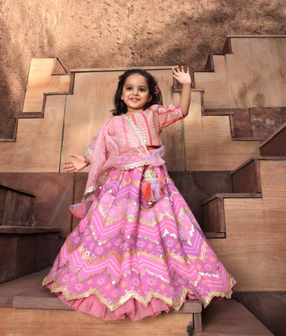 Manufactured by FAYON KIDS (Noida, U.P) Pink Embroidred Choli with Purple Lehenga for Girls