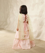 Manufactured by FAYON KIDS (Noida, U.P) Pink Faux Mukaish work Top and Skirt
