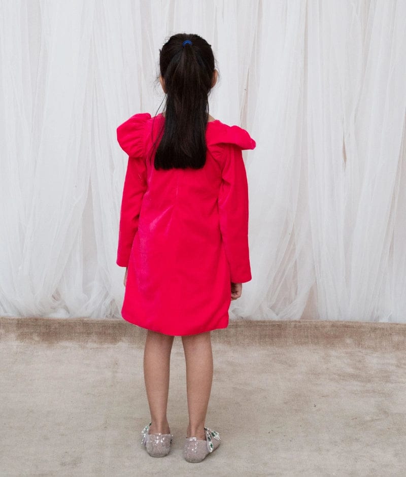 Manufactured by FAYON KIDS (Noida, U.P) Pink Velvet Dress