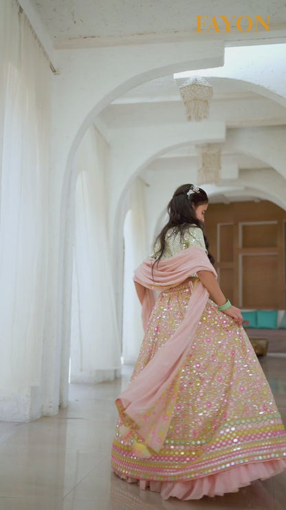 Peach Embroidered Choli with Lehenga