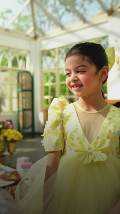 Butterfly Bloom Party Frock