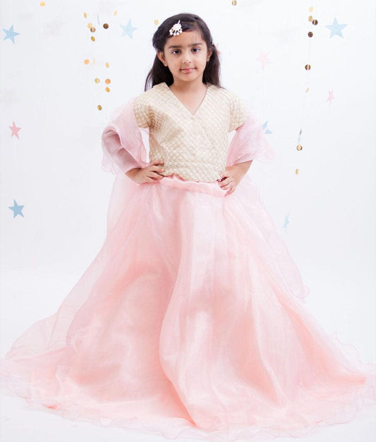 Fayon Kids Beige Embroidery Pink Organza Lehenga with Choli Organza Dupatta for Girls