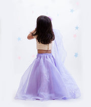 Beige Embroidery Purple Organza Lehenga with Choli Organza Dupatta for Girls