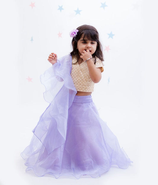 Fayon Kids Beige Embroidery Purple Organza Lehenga with Choli Organza Dupatta for Girls