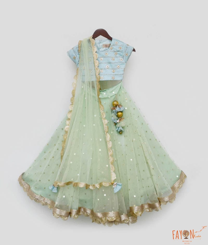 Blue Embroidery Choli and Green Net Lehenga Dupatta Set for Girls