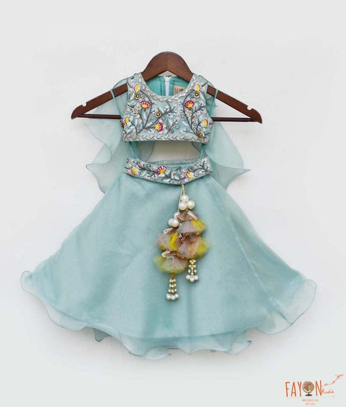 Blue Organza Lehenga Embroidery Choli for Girls