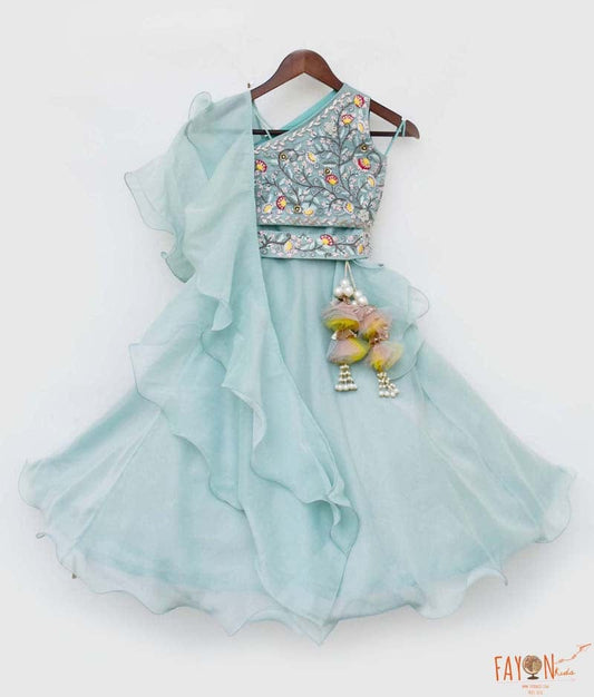 Blue Organza Lehenga Embroidery Choli Organza Dupatta for Girls
