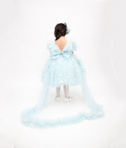 Blue Star Net Dress for Girls