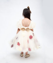 Cream Flower Net Dress for Girls