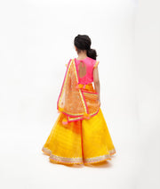 Hot Pink Silk Yellow Organza Lehenga with Choli Organza Dupatta for Girls