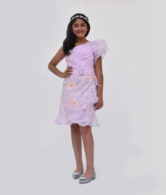 Lilac Embroidery and Organza Dress for Girls