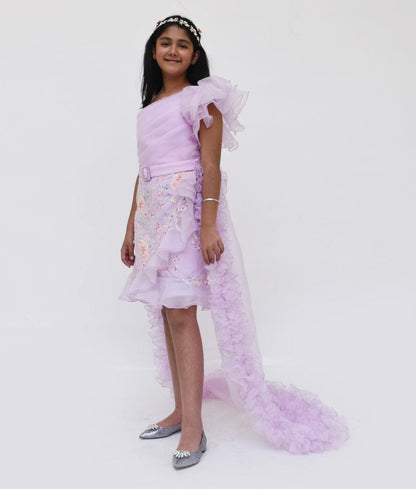 Fayon Kids Lilac Embroidery Dress and Organza Trail for Girls