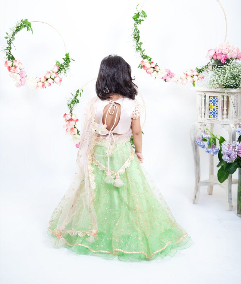 Fayon Kids Peach Embroidery Green Booti Net Lehenga with Choli Boti Net Dupatta for Girls