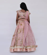 Peach Embroidery Lehenga Choli and Dupatta for Girls