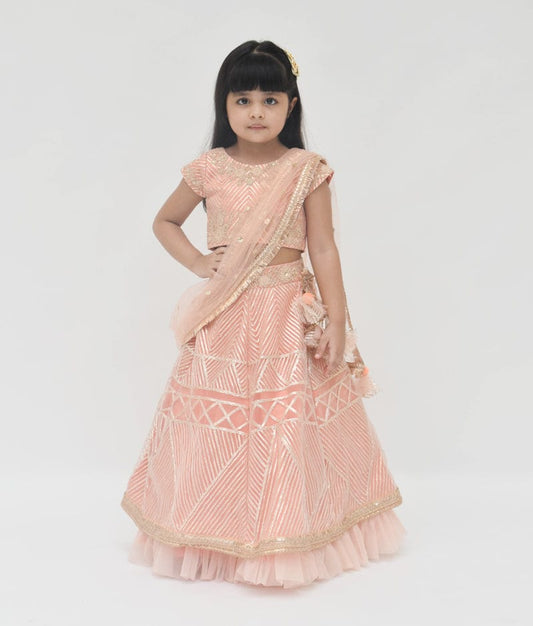 Fayon Kids Peach Gota Embroidery Lehenga with Choli Boti Net Dupatta for Girls