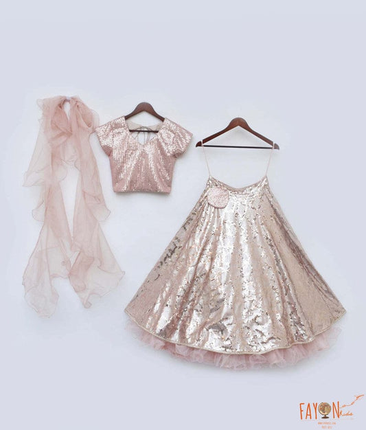 Peach Sequins Embroidery Lehenga with Choli Organza Dupatta for Girls