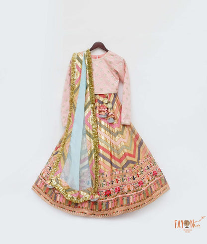Peach Silk Flower Boti Embroidery Lehenga with Choli Organza Dupatta for Girls