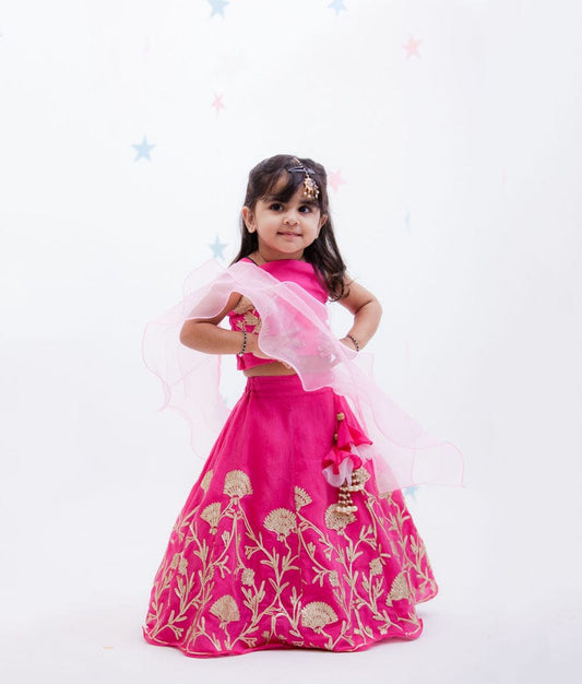 Pink Gota Embroidery Lehenga with Choli Organza Dupatta for Girls