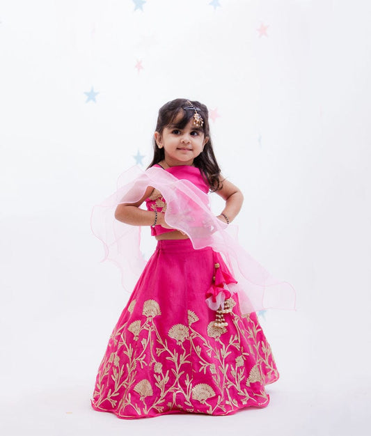 Fayon Kids Pink Gota Embroidery Lehenga with Choli Organza Dupatta for Girls