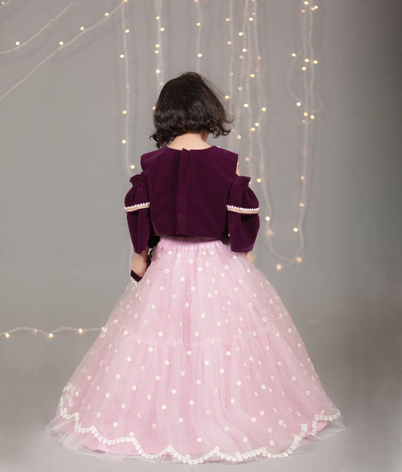 Purple Velvet Light Purple Net Lehenga with Top for Girls