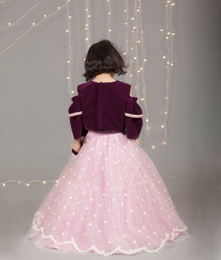 Purple Velvet Light Purple Net Lehenga with Top for Girls