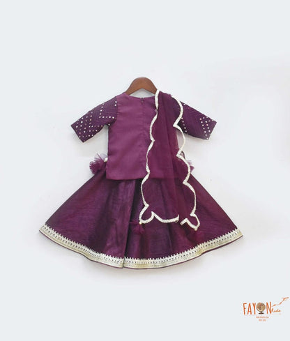 Wine Burgundy Mirror Embroidery Silk Lehenga with Choli Net Dupatta for Girls