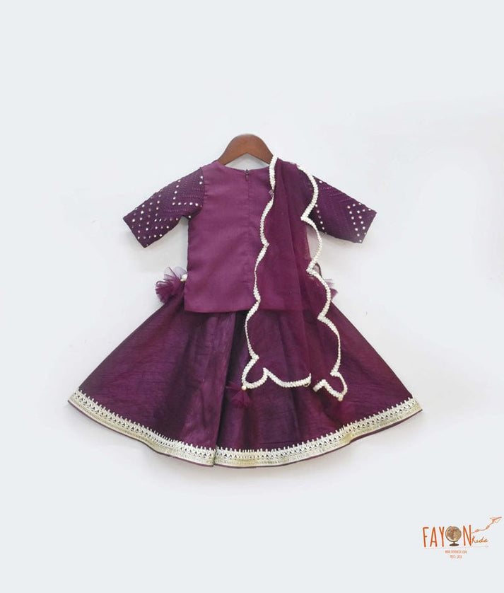 Wine Burgundy Mirror Embroidery Silk Lehenga with Choli Net Dupatta for Girls