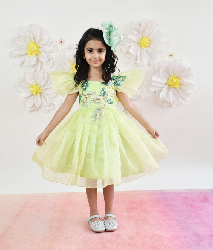 Green Organza Dress for Girls FayonKids Green Organza Dress for Girls FayonKids