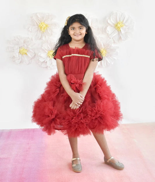 Manufactured by FAYON KIDS (Noida, U.P) Maroon Net Flower Frock for Girls
