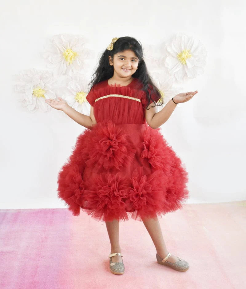 Manufactured by FAYON KIDS (Noida, U.P) Maroon Net Flower Frock for Girls