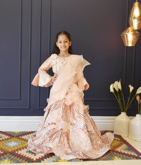 Peach Sequins Lehenga Choli Organza Dupatta for Girls